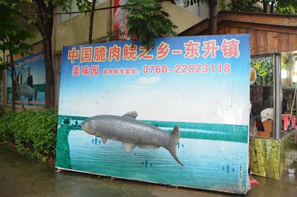 台山之旅(義工團)