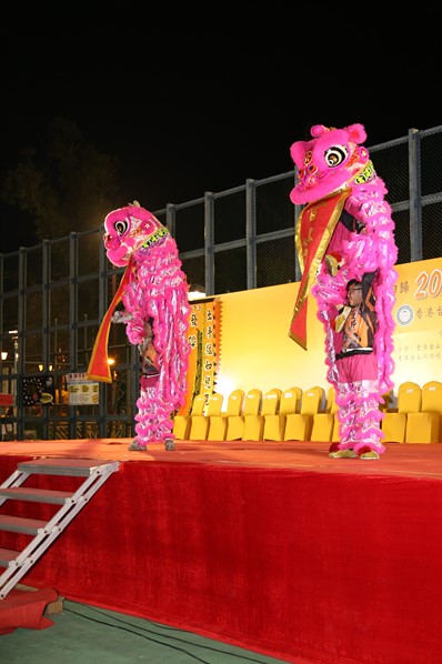 慶回歸20週年暨台山節嘉年華